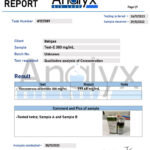 132589-Report-Test-E300-30-11-2023-841x1024